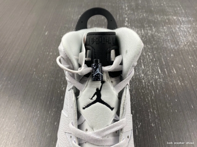 Rep LUCY Jordan Oreo 6 Reverse Air CT8529-112 0701